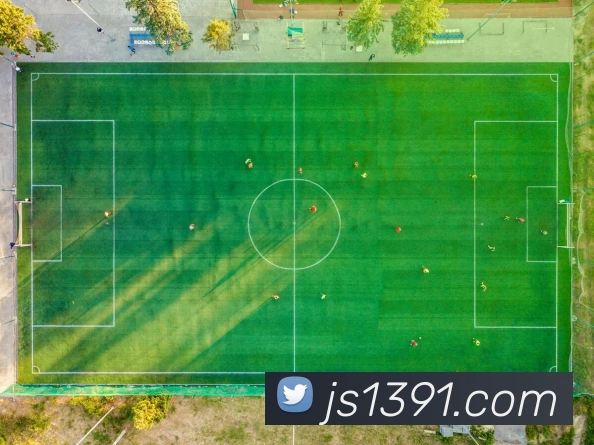 未来规划